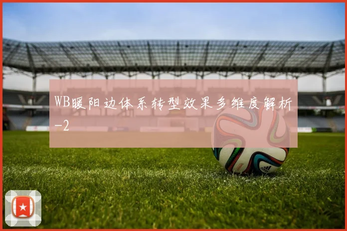 WB暖阳边体系转型效果多维度解析