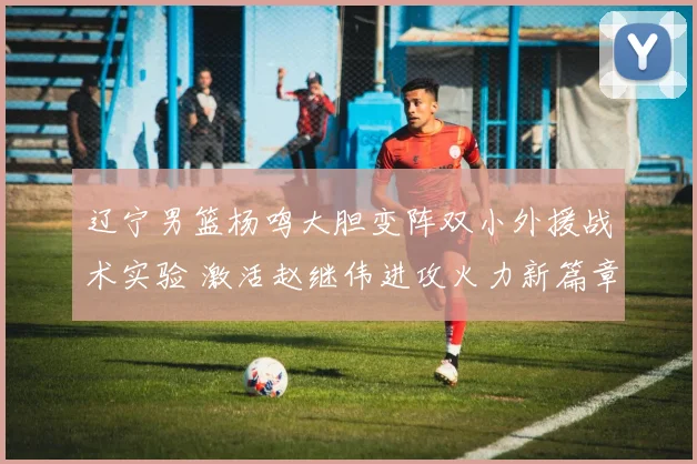 辽宁男篮杨鸣大胆变阵双小外援战术实验 激活赵继伟进攻火力新篇章