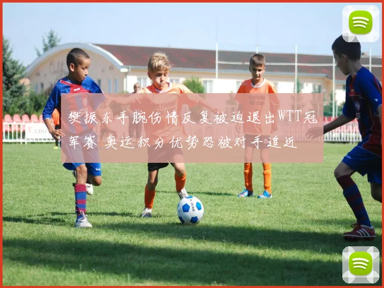 樊振东手腕伤情反复被迫退出WTT冠军赛 奥运积分优势恐被对手追近